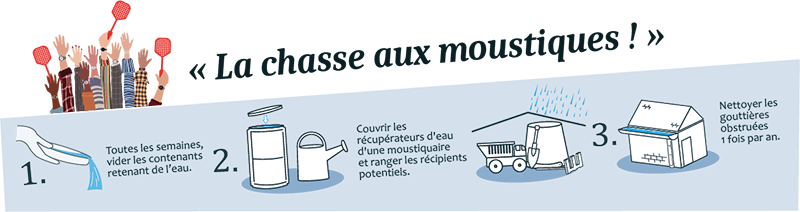 la chasse aux moustiques.png
